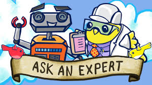 Ask an Expert